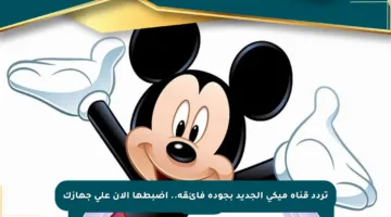 تردد قناة ميكي الجديد بجودة فائقة.. اضبطها الآن على جهازك